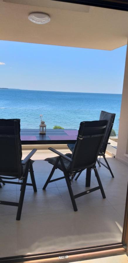 Sanja Rivarela Novigrad Istria
